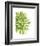 Green Bloom 3-Jenny Kraft-Framed Art Print