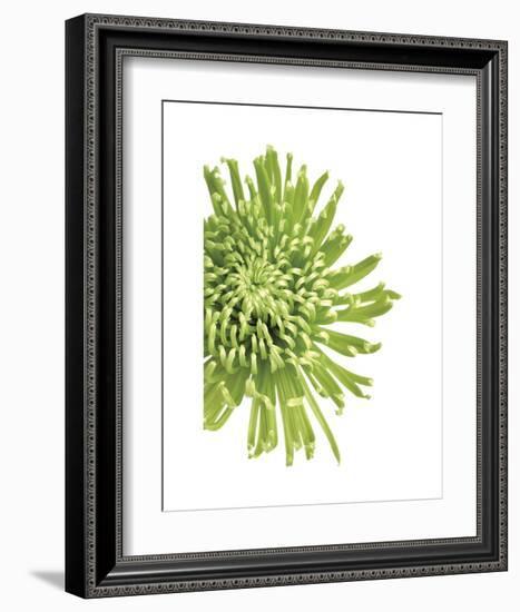 Green Bloom 3-Jenny Kraft-Framed Art Print