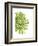 Green Bloom 3-Jenny Kraft-Framed Art Print