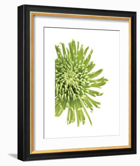 Green Bloom 3-Jenny Kraft-Framed Art Print