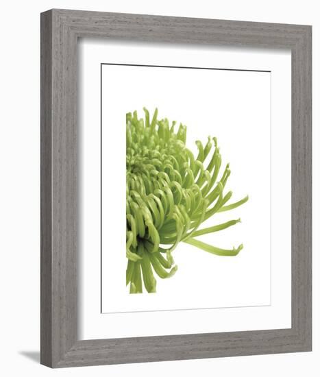 Green Bloom 4-Jenny Kraft-Framed Art Print
