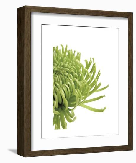 Green Bloom 4-Jenny Kraft-Framed Art Print
