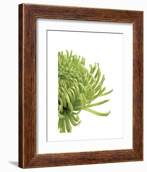 Green Bloom 4-Jenny Kraft-Framed Art Print