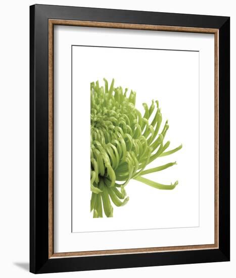 Green Bloom 4-Jenny Kraft-Framed Art Print