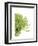 Green Bloom 4-Jenny Kraft-Framed Art Print