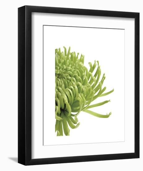 Green Bloom 4-Jenny Kraft-Framed Art Print