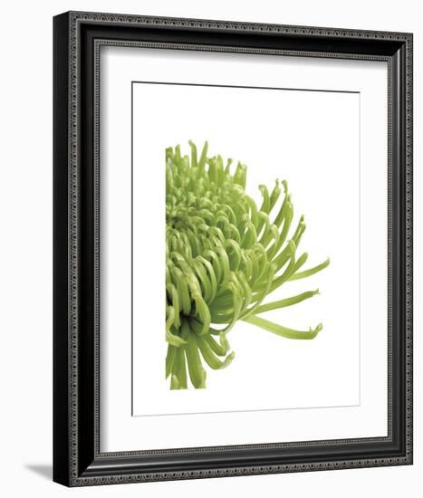 Green Bloom 4-Jenny Kraft-Framed Art Print