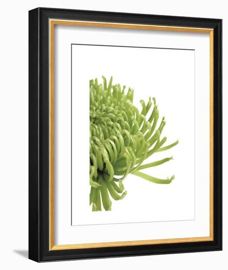 Green Bloom 4-Jenny Kraft-Framed Art Print