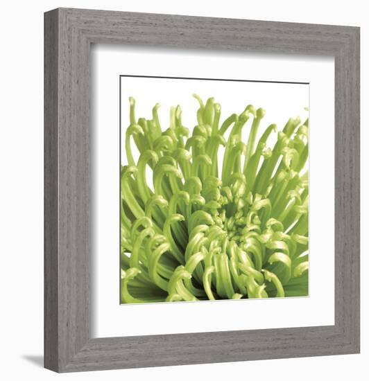 Green Bloom 5 (detail)-Jenny Kraft-Framed Art Print