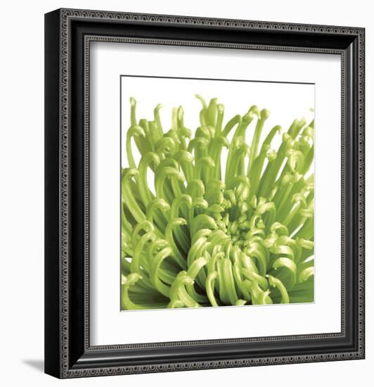 Green Bloom 5 (detail)-Jenny Kraft-Framed Art Print