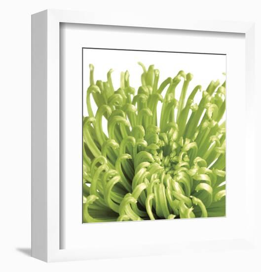 Green Bloom 5 (detail)-Jenny Kraft-Framed Art Print