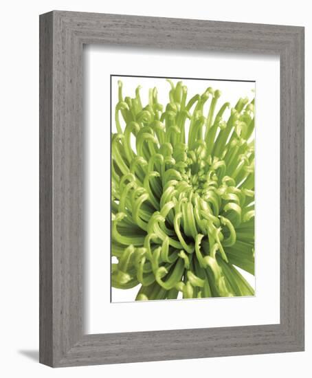 Green Bloom 5-Jenny Kraft-Framed Art Print