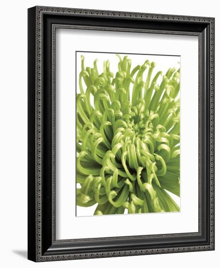 Green Bloom 5-Jenny Kraft-Framed Art Print