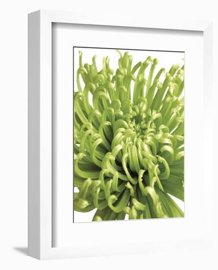 Green Bloom 5-Jenny Kraft-Framed Art Print