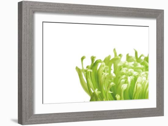 Green Bloom I-Jenny Kraft-Framed Art Print