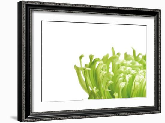 Green Bloom I-Jenny Kraft-Framed Art Print