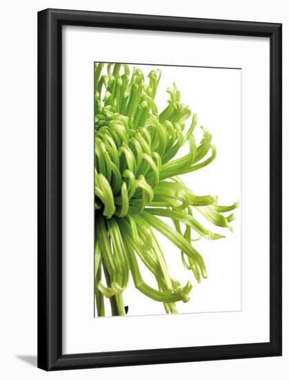 Green Bloom II-Jenny Kraft-Framed Art Print