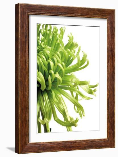 Green Bloom II-Jenny Kraft-Framed Art Print