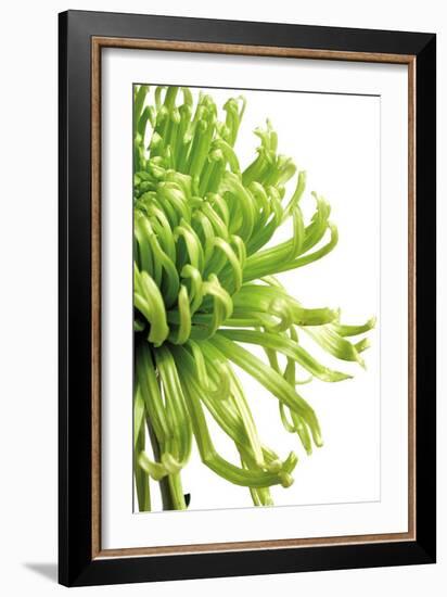 Green Bloom II-Jenny Kraft-Framed Art Print