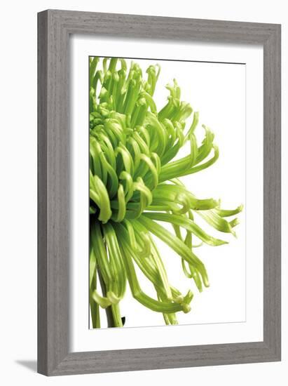 Green Bloom II-Jenny Kraft-Framed Art Print