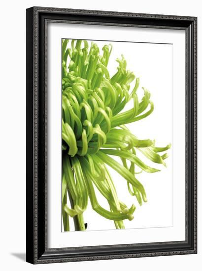 Green Bloom II-Jenny Kraft-Framed Art Print