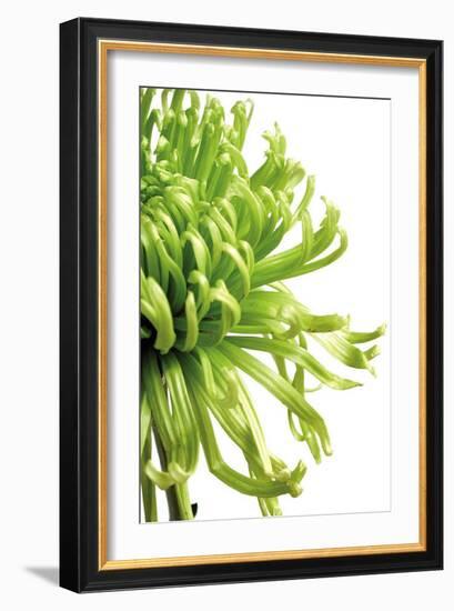 Green Bloom II-Jenny Kraft-Framed Art Print