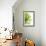 Green Bloom II-Jenny Kraft-Framed Art Print displayed on a wall