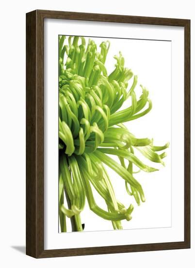 Green Bloom II-Jenny Kraft-Framed Art Print