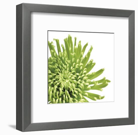 Green Bloom III (detail)-Jenny Kraft-Framed Giclee Print