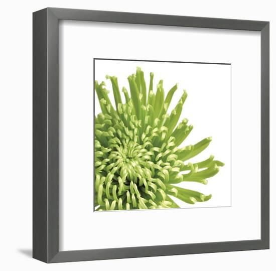 Green Bloom III (detail)-Jenny Kraft-Framed Giclee Print