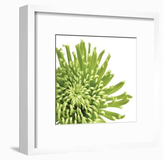 Green Bloom III (detail)-Jenny Kraft-Framed Giclee Print