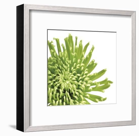 Green Bloom III (detail)-Jenny Kraft-Framed Giclee Print