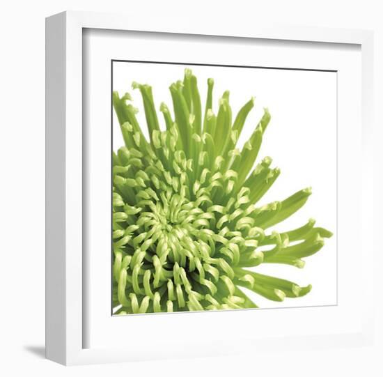 Green Bloom III (detail)-Jenny Kraft-Framed Giclee Print
