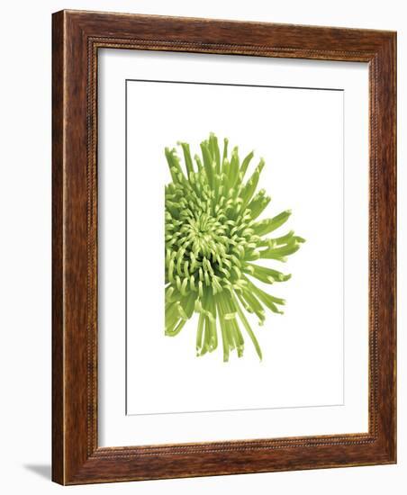 Green Bloom III-Jenny Kraft-Framed Giclee Print