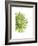 Green Bloom III-Jenny Kraft-Framed Giclee Print