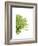 Green Bloom IV-Jenny Kraft-Framed Giclee Print