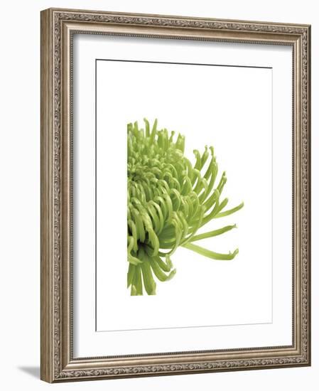 Green Bloom IV-Jenny Kraft-Framed Giclee Print