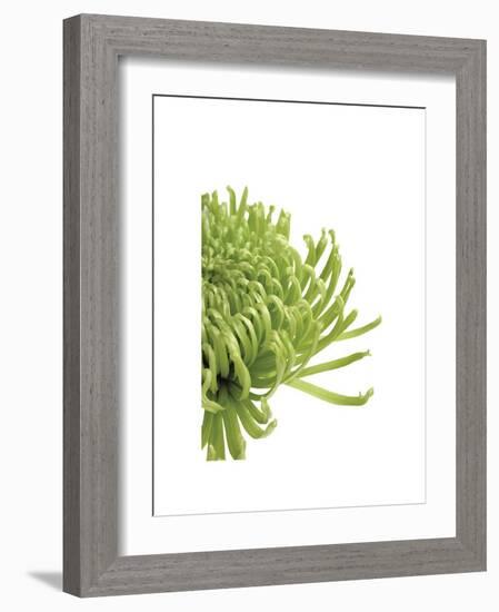 Green Bloom IV-Jenny Kraft-Framed Giclee Print