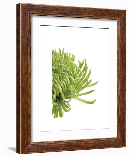 Green Bloom IV-Jenny Kraft-Framed Giclee Print