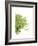 Green Bloom IV-Jenny Kraft-Framed Giclee Print