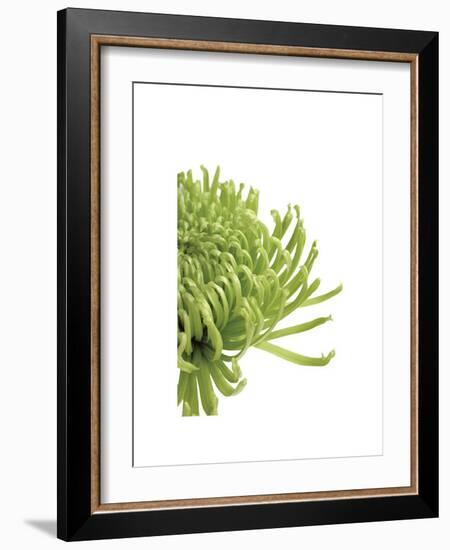 Green Bloom IV-Jenny Kraft-Framed Giclee Print