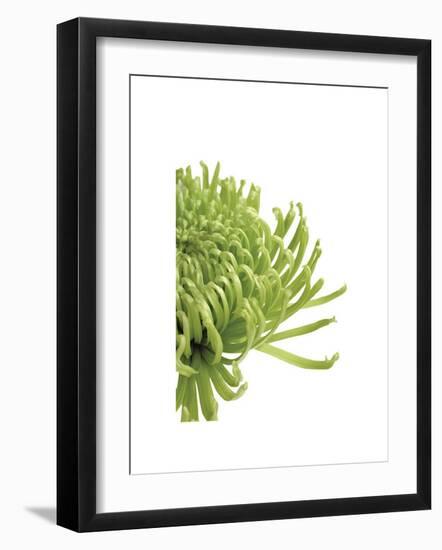 Green Bloom IV-Jenny Kraft-Framed Giclee Print