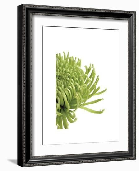 Green Bloom IV-Jenny Kraft-Framed Giclee Print