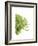 Green Bloom IV-Jenny Kraft-Framed Giclee Print