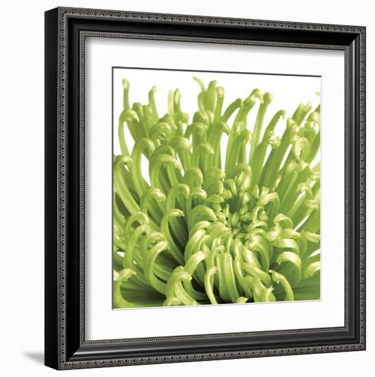 Green Bloom V (detail)-Jenny Kraft-Framed Giclee Print