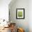 Green Bloom V-Jenny Kraft-Framed Giclee Print displayed on a wall