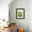 Green Bloom V-Jenny Kraft-Framed Giclee Print displayed on a wall