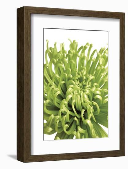 Green Bloom V-Jenny Kraft-Framed Giclee Print