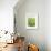 Green Bloom V-Jenny Kraft-Framed Giclee Print displayed on a wall