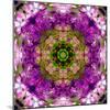 Green Blossom Mandala-Alaya Gadeh-Mounted Photographic Print